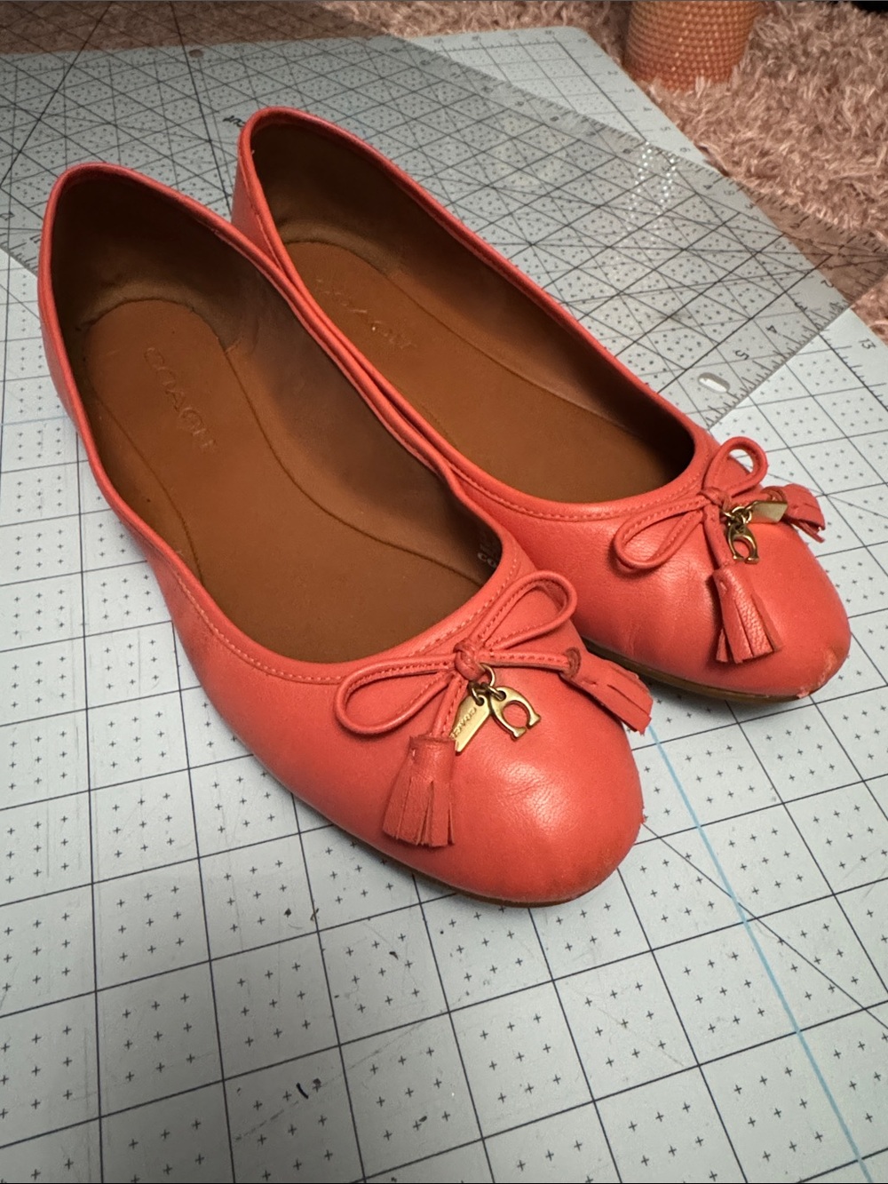Coach Coral Ballerina Flats - 10M